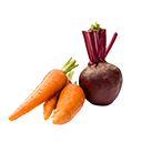 Beets-Carrots-Turnips-Radish