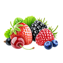Berries