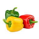 Chilly-Capsicum-Peppers