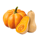 Pumpkin-Squash
