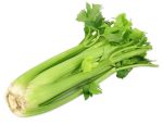 Celery P/Kg