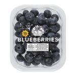 Blueberries Jumbo
