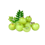 Premium Fresh Amla