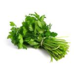 Dhania P/Bunch