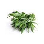 Tarragon Herbs P/Bunch