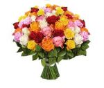 Premium Roses P/Bunch
