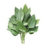 Kunde P/Bunch