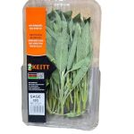 KEITT Sage 50g
