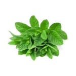 Mint P/Bunch