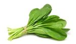 Palak P/Bunch