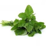 Sagetti P/Bunch