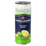 San Pellegrino Isd Limone & Mentacan 330ml