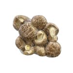 IMP SHITAKE Mushroom PKT