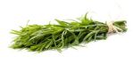 Tarragon Herbs P/Bunch