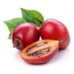 Tree Tomato