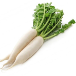 White Radish P/Piece
