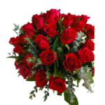 PREMIUM ROSES