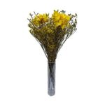 Hannah Sleeve P/Bunch