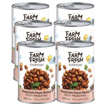 FARM FRESH FAVA BEANS PLAIN 450GM