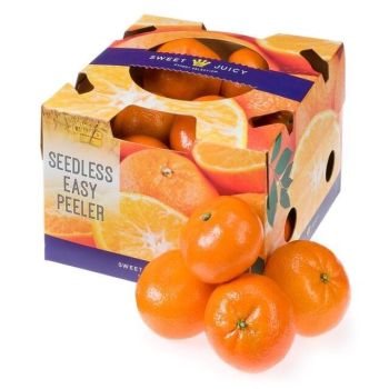 Imported Tangerine