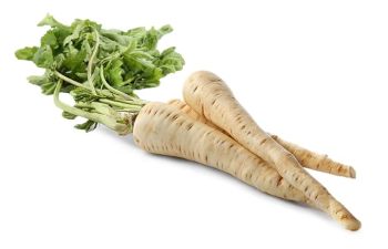 Premium Parsnips 