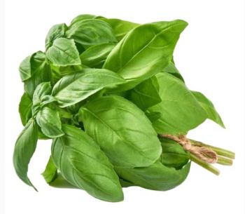 EG BASIL 50GM PKT