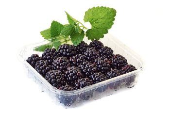 BLACKBERRIES PKT