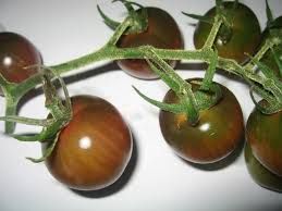 BLACK CHERRY TOMATOES P/PKT