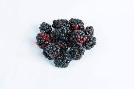 BLACK BERRIES VP