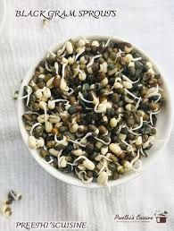 BLACK GRAM SPROUTS