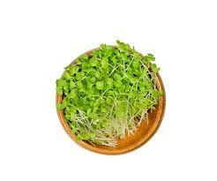 Broccoli Microgreens 50G