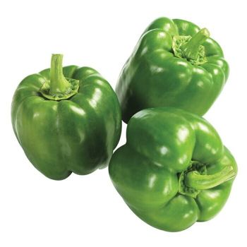 CAPSICUM P/KG