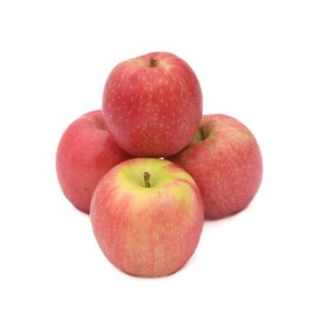 Cripps Red Apple