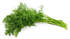 Dill Herbs P/Bunch