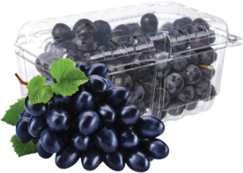 Black Grapes Seedless