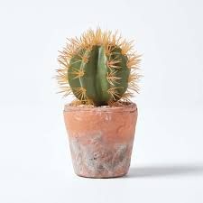 FF0072 CACTI SMALL POT 7
