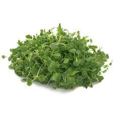 Mustard Microgreens 50g