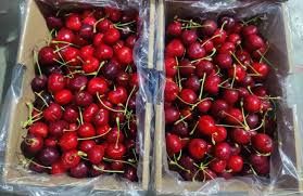 Imp Cherries Small Carton