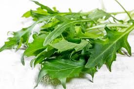 WILD ROCKET KHE