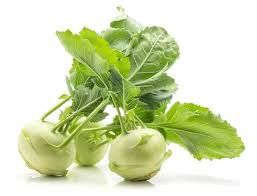 KOHLRABI P/KG