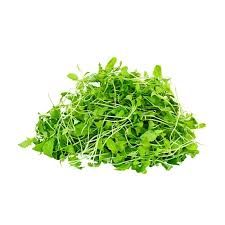 Mustard Microgreens 50G