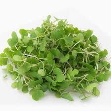 Kale Micrgreens 50G