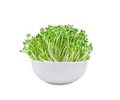 Broccoli Microgreens 50G