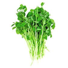 Green Pea Microgreens 50G