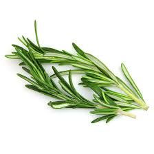 EG ROSEMARY 50GM PKT