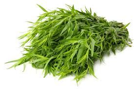 Eg Tarragon 50Gm Pkt