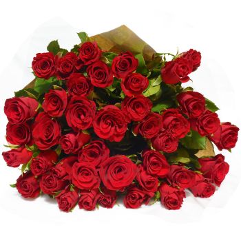EXCLUSIVE ROSES