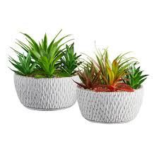 FF0492 SUCCULENTS MEDIUM POT 9
