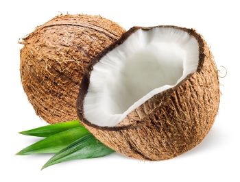 FRESH COCONUT