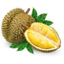 FRESH DURIAN  P/KG